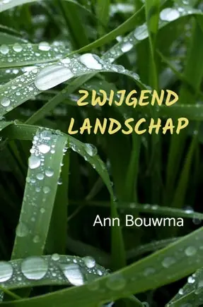 Zwijgend Landschap Nu Kopen