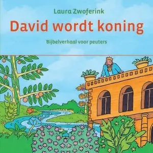 David Wordt Koning Kartonboekje Uitverkoop