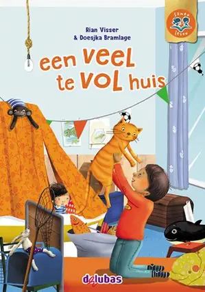 Bestseller een veel te vol huis