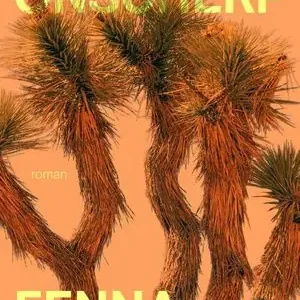 Scherp onscherp Tijdelijk Beschikbaar