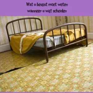 (V)echtscheiding (e-book) Beperkt Aanbod