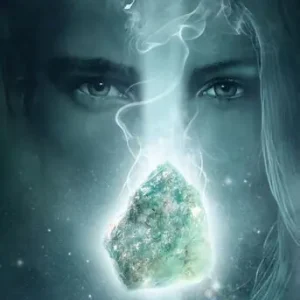 Dagaanbieding De erfwachter