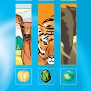 't Went zo'n element Koop Vandaag