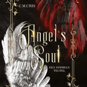 Angel's Soul Lage Kosten