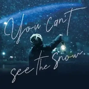 You Can't See the Snow Beperkte Voorraad