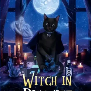 Witch In Disguise Beperkte Voorraad