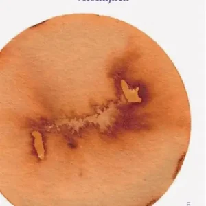 Zie ik je aan de horizon verschijnen Express Levering