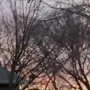 A Gypsy's Journey Who Finally Found A Home Lage Kosten