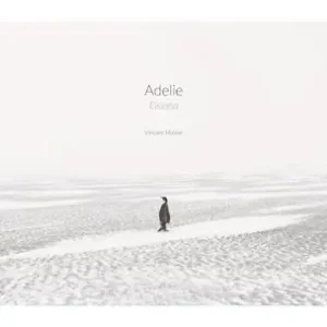 Adelie: Eismeer - Eisland Flitsaanbieding