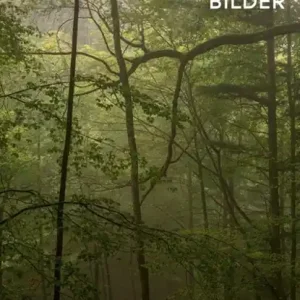 Waldbilder Actieprijs