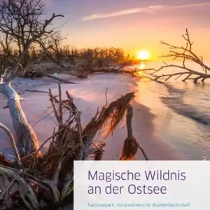 Beste Prijs Magische Wildnis an der Ostsee