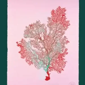 Bestel Nu Radicle, or When the World Lived Inside Us