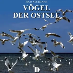Vögel der Ostsee Koop Vandaag